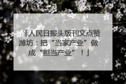 人民日报头版刊文点赞潍坊：把“当家产业”做成“担当产业”！